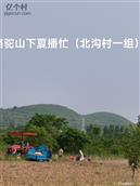 河北省,石家庄市,赞皇县,赞皇镇,北沟村