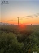 安徽省,芜湖市,无为县,石涧镇,柴林村