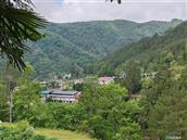 陕西省,汉中市,镇巴县,赤南镇,庙子坝村