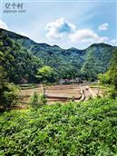 陕西省,汉中市,镇巴县,赤南镇,庙子坝村