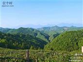 龙泉村 