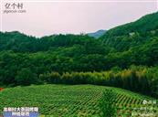 龙泉村 