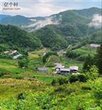 龙泉村 