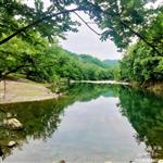 龙泉村 