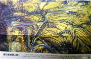 山西省,阳泉市,矿区,蔡洼街道,南台社区