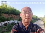 辽宁省,朝阳市,龙城区,半拉山街道,半拉山村