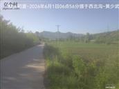 辽宁省,朝阳市,龙城区,半拉山街道,半拉山村