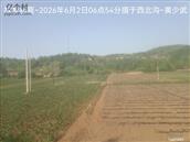 辽宁省,朝阳市,龙城区,半拉山街道,半拉山村