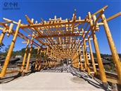 贵州省,黔东南州,黎平县,坝寨乡,高场村