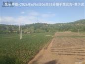 辽宁省,朝阳市,龙城区,半拉山街道,半拉山村