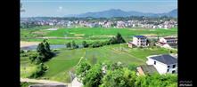 跳石村 