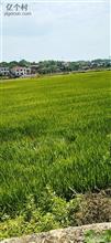 湖北省,咸宁市,崇阳县,石城镇,虎爪村
