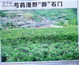 大石门村 大石门村