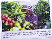 云南省,保山市,隆阳区,潞江镇,新寨村