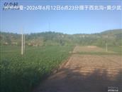 辽宁省,朝阳市,龙城区,半拉山街道,半拉山村