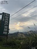 江西省,上饶市,玉山县,下塘乡,石塘村