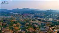 山东省,日照市,岚山区,黄墩镇,台子地村