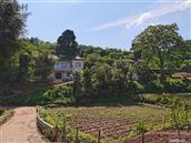 四川省,遂宁市,蓬溪县,蓬南镇,芝家村