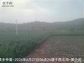 辽宁省,朝阳市,龙城区,半拉山街道,半拉山村