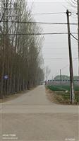 山东省,德州市,陵城区,前孙镇,常庄村