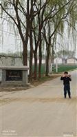 山东省,德州市,陵城区,前孙镇,常庄村