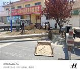 山东省,滨州市,沾化区,下洼镇,西贾营村