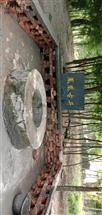 安徽省,合肥市,肥西县,紫蓬山,凤凰村