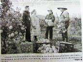 江西省,萍乡市,安源区,青山镇,光辉村