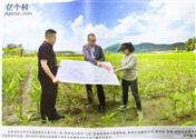 吉林省,辽源市,东辽县,白泉镇,德忠村