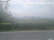 辽宁省,朝阳市,龙城区,半拉山街道,半拉山村