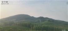 河南省,平顶山市,鲁山县,马楼乡,南坡村