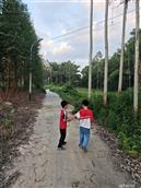 广西,贺州市,八步区,贺街镇,龙马村