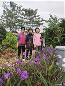 广东省,珠海市,斗门区,白蕉镇,盖山村