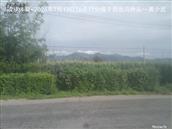 辽宁省,朝阳市,龙城区,半拉山街道,半拉山村