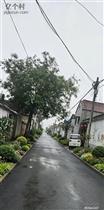 山东省,菏泽市,巨野县,田庄镇,公陈庄村
