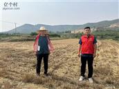 山东省,枣庄市,滕州市,滨湖镇,上王庄村