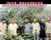 安徽省,宿州市,萧县,杜楼镇,业庄村