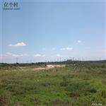山东省,烟台市,栖霞市,臧家庄镇,洛汤地村