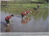 四川省,达州市,宣汉县,天生镇,天生村