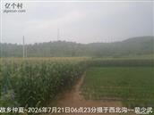 辽宁省,朝阳市,龙城区,半拉山街道,半拉山村