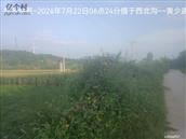 辽宁省,朝阳市,龙城区,半拉山街道,半拉山村
