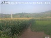 辽宁省,朝阳市,龙城区,半拉山街道,半拉山村
