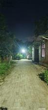 河北省,沧州市,泊头市,洼里王镇,洼里王村