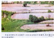 山西省,太原市,阳曲县,东黄水镇,东黄水村