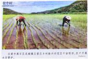 山西省,吕梁市,离石区,吴城镇,上王营庄村