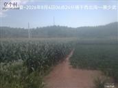 辽宁省,朝阳市,龙城区,半拉山街道,半拉山村