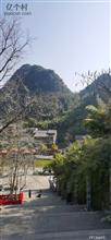 贵州省,遵义市,道真县,阳溪镇,阳坝村