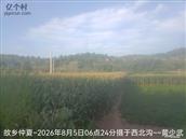 辽宁省,朝阳市,龙城区,半拉山街道,半拉山村