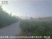 辽宁省,朝阳市,龙城区,半拉山街道,半拉山村