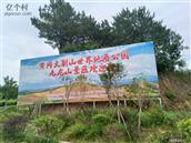 鸟雀林村 